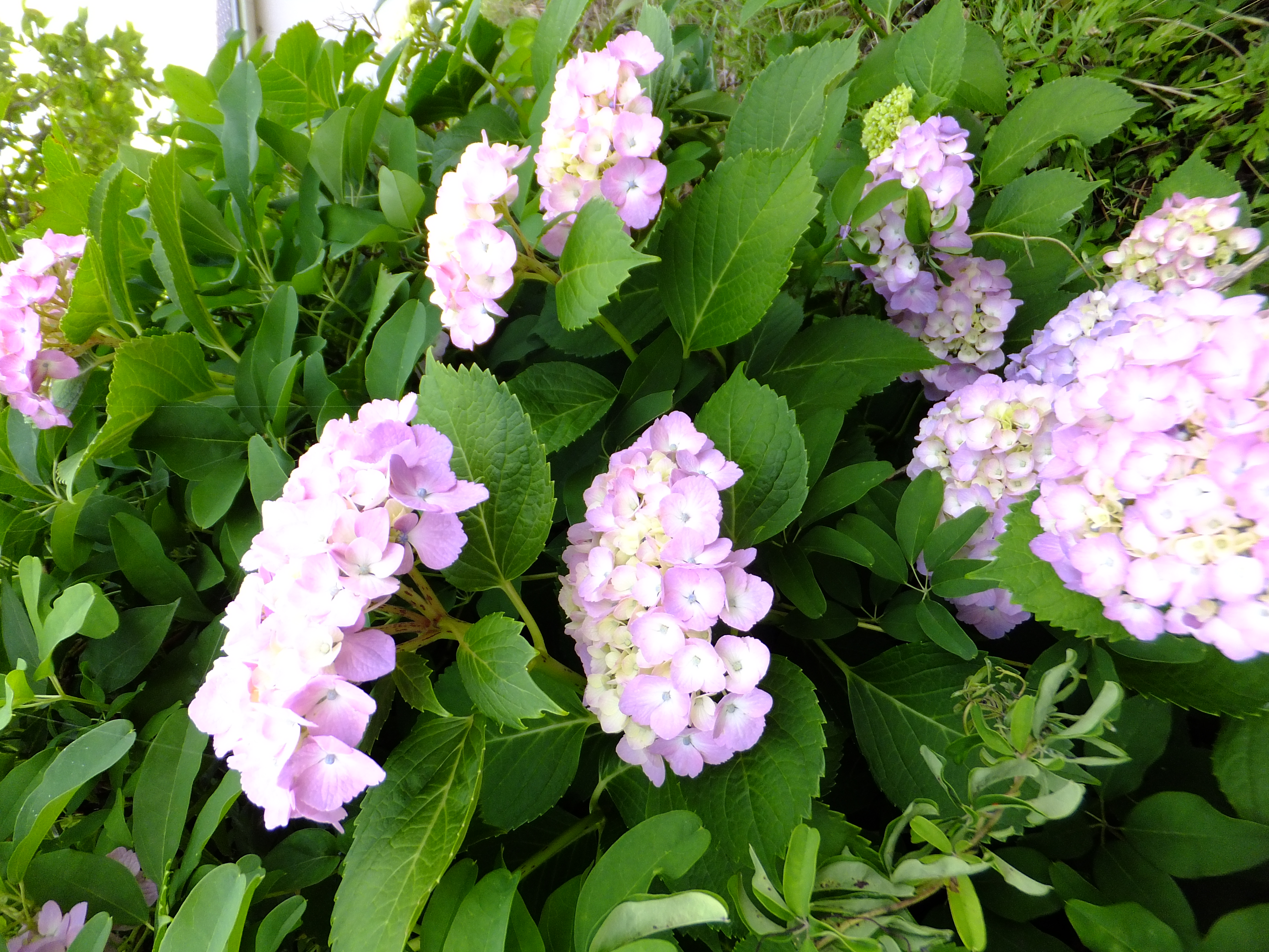 太極拳BLOG、開設しました。